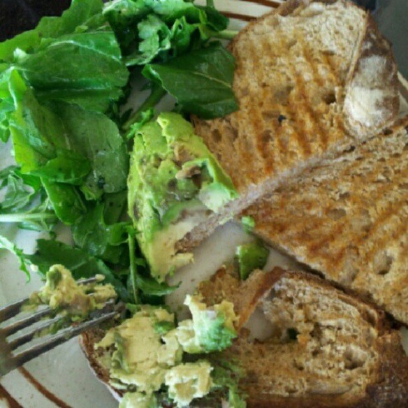 The Hedgehog _ Avo and Toast